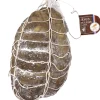 Jesus de Lyon 1kg Saucisson