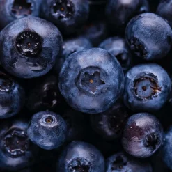 Sabarot Blueberries in Syrup 880g