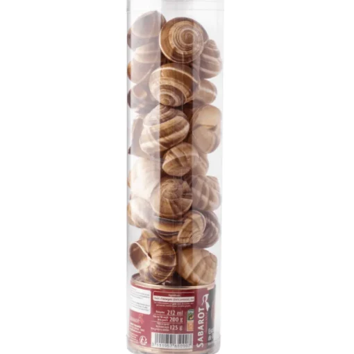 Sabarot Burgundy Set Snails and Shells 2dz