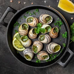 Sabarot Burgundy Snails 4dz