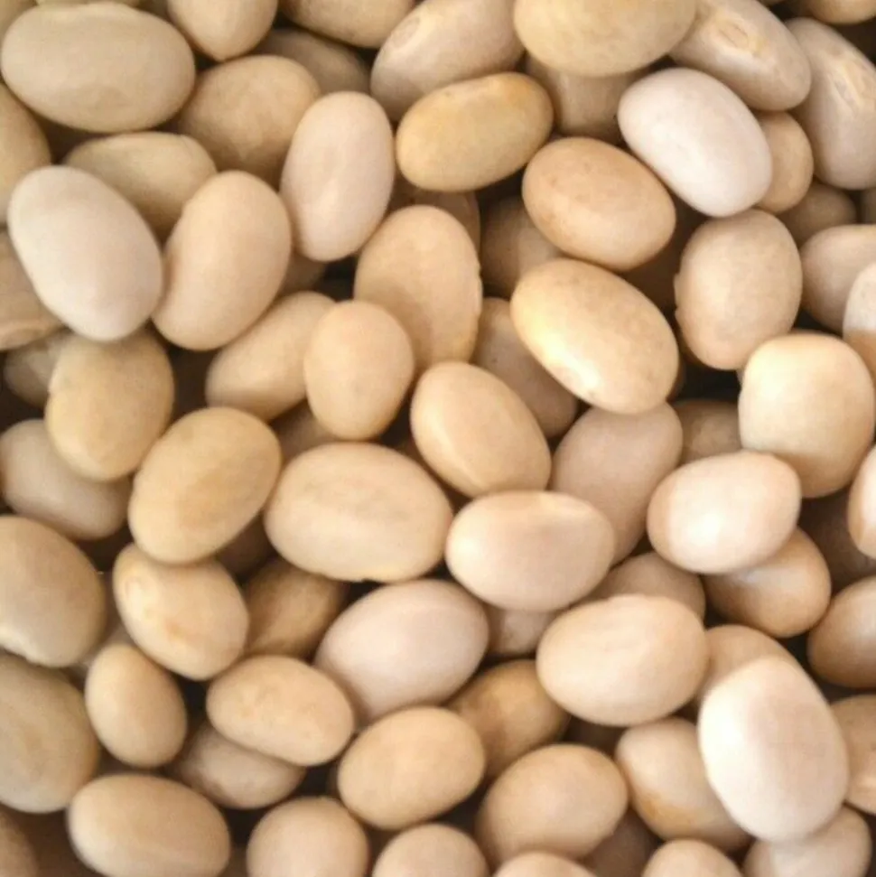 Sabarot Dried Coco Beans 1kg