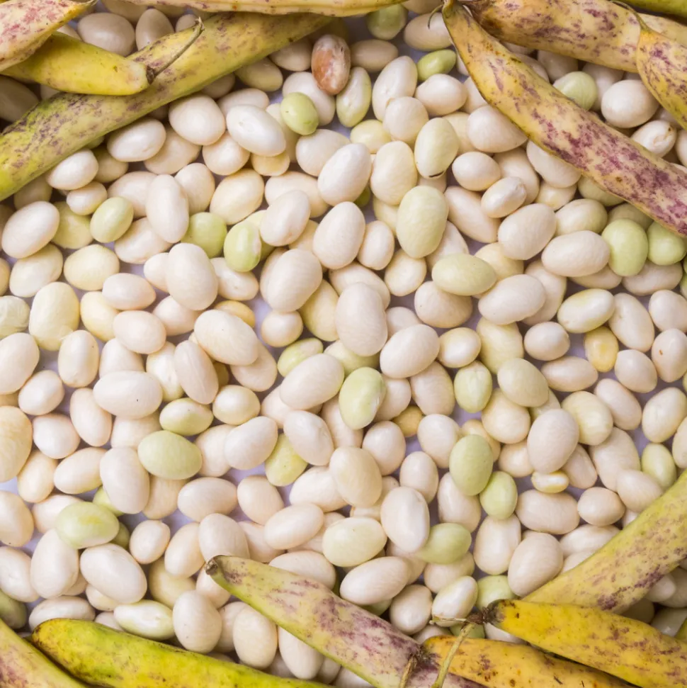 Sabarot Dried Coco Beans 1kg