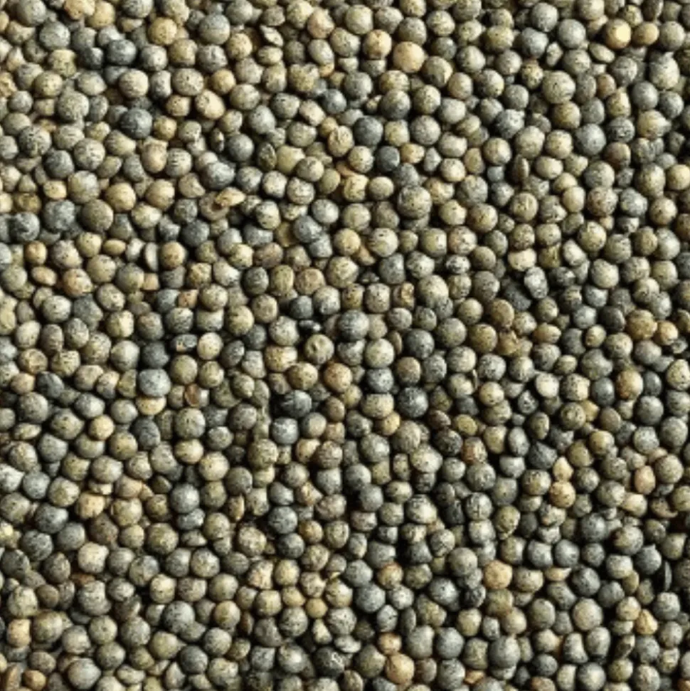 Sabarot Green Puy Lentils AOP 500g