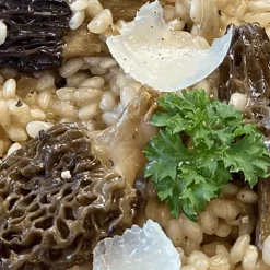 Sabarot Morels Mushrooms 330g