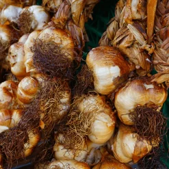 Smoked Arleux Garlic Braid 1kg COMING SUMMER 2025