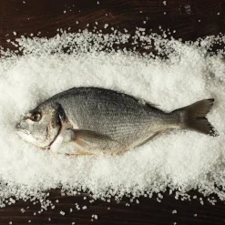 Tradysel Celtic Sea Salt 1kg