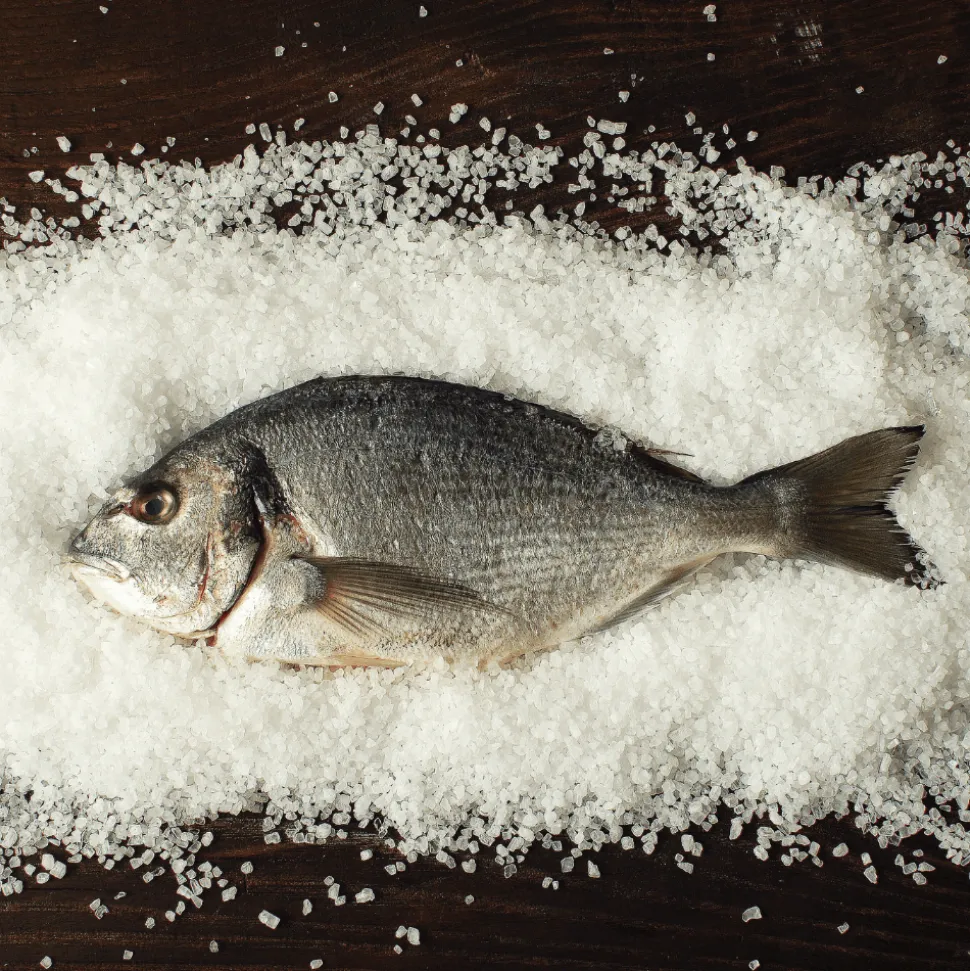 Tradysel Celtic Sea Salt 1kg