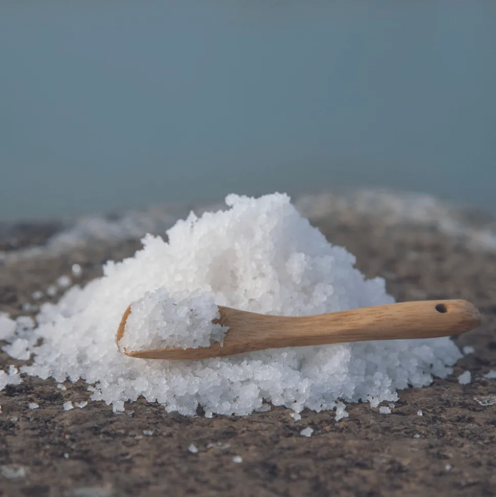 Tradysel Guerande Fleur de Sel 500g