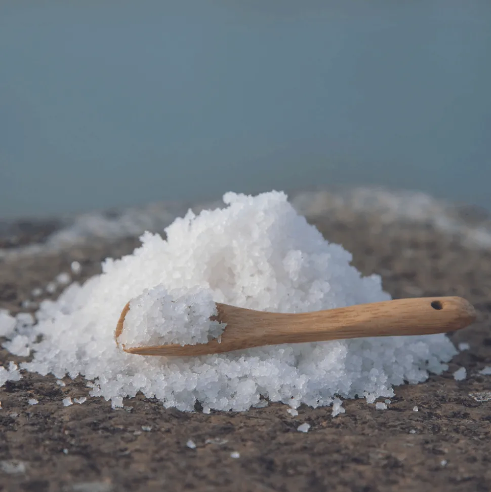 Tradysel Guerande Fleur de Sel 1kg Bucket