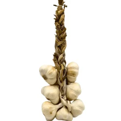 White Garlic Braid 1kg COMING SUMMER 2025
